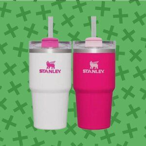 STANLEY x TARGET 20 oz Stainless Steel 2-piece Quencher Tumblers Pink Vibes